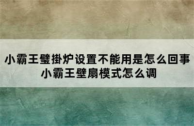 小霸王璧掛炉设置不能用是怎么回事 小霸王壁扇模式怎么调